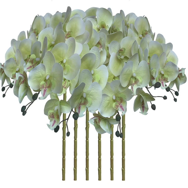 FagusHome 32 Inch Artificial Phalaenopsis Flowers 6 Pcs Artificial Orchid Flo... Green Plant