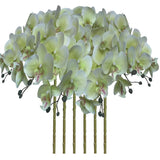 FagusHome 32 Inch Artificial Phalaenopsis Flowers 6 Pcs Artificial Orchid Flo... Green Plant