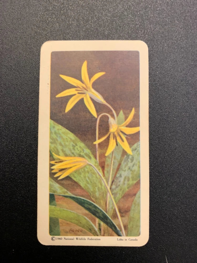Wildflower tea card with yellow sunflower illustration on a cream border