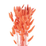 120pcs Natural Bunny Tails Dried Flowers 24" Mini Pampas Grass, Orange Pampas Grass