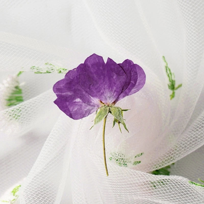 Dried purple rose with long stem and small green leaves