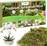 3.5OZ Premium Sphagnum Moss for Plants- 4QT Natural Dried Plant Moss for Potted Orchids