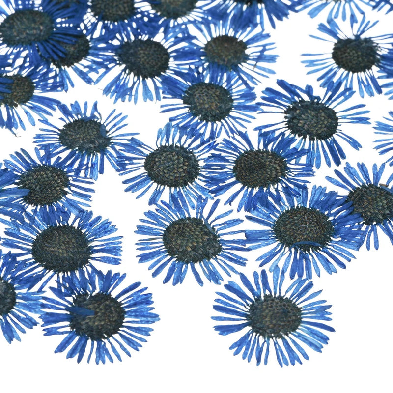 60-Pack Dried Pressed Flowers for Resin, Real Natural Dry Floral [Blue] Dried Flower