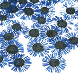 60-Pack Dried Pressed Flowers for Resin, Real Natural Dry Floral [Blue] Dried Flower