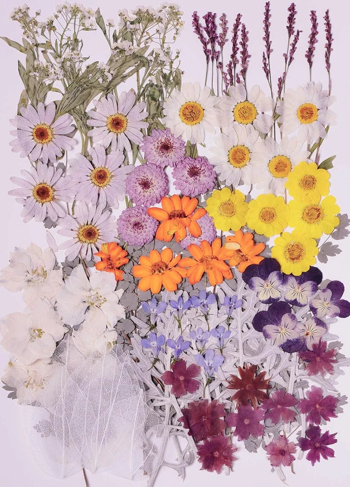 Assorted dried pressed flowers and leaves in purple, yellow, orange, and white for resin crafts