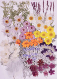 100 PCS Dried Pressed Flowers and Leaves for DIY Resin Jewelry Making Craft Dried Flower