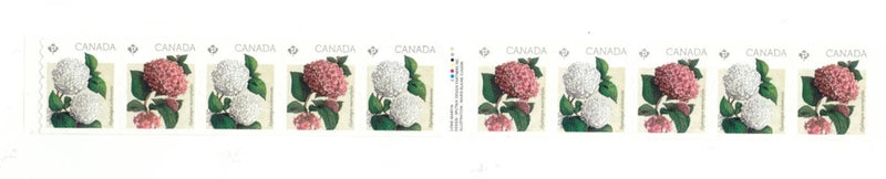 Canada - Scott 2897-2898 - Coil Gutter Strip of 10 - Hydrangeas  - MNH - 2016 Hydrangea