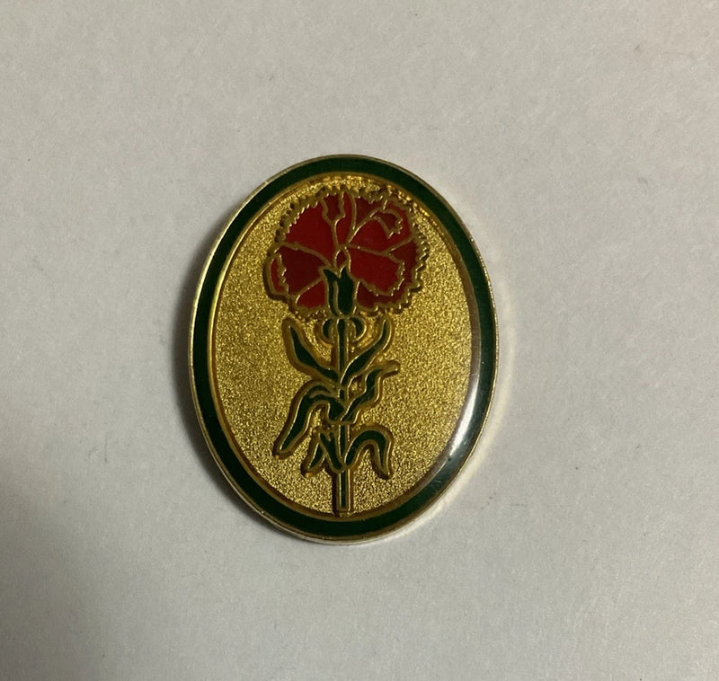 Vintage Red Carnation Flower Lapel Pin Valley Casting Signed Oval Enamel Brooch Carnation