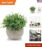 Mini Sage Green Potted Boxwood Topiary Artificial Plants for Home Decor Indoo... Green Plant
