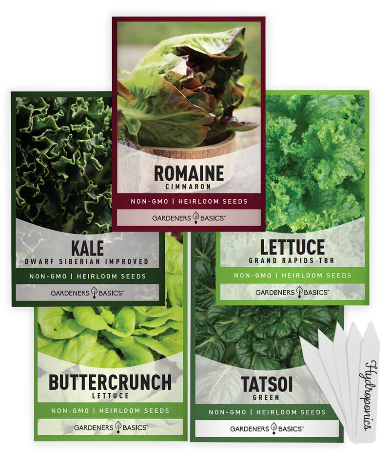 Hydroponic Seeds For Planting | 5 High-Quality Varieties Garden Plants
