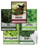 Hydroponic Seeds For Planting | 5 High-Quality Varieties Garden Plants