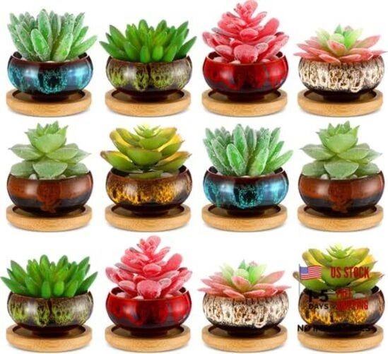 Mini ceramic succulent pots set, small round planters with colorful succulents on bases
