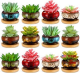12 Pcs Succulent Pots 2.5 Inch Mini Ceramic Succulent Garden 1.2 Inch H Round Garden Plants