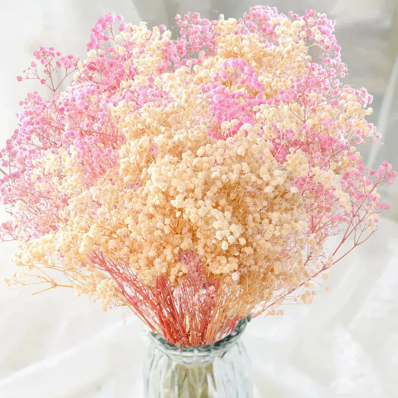 2000+ Dried Pink White Babys Breath Flowers -17 Babys Breath Bulk Bouquet, Re... Dried Flower