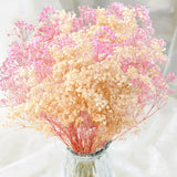 2000+ Dried Pink White Babys Breath Flowers -17 Babys Breath Bulk Bouquet, Re... Dried Flower
