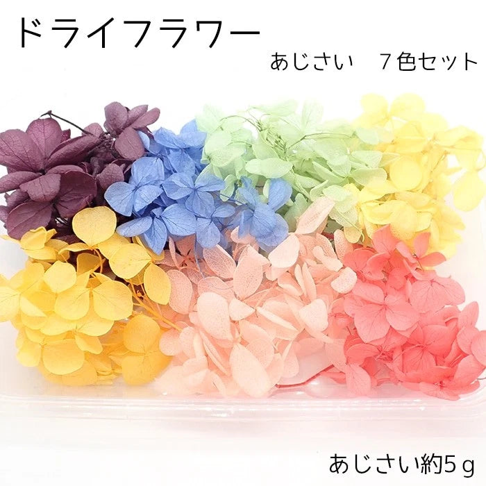 Deco Parts Dry Flower Assortment Pack (7-Color Hydrangea) Hydrangea