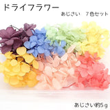Deco Parts Dry Flower Assortment Pack (7-Color Hydrangea) Hydrangea