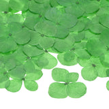 12-Pack Dried Pressed Flowers for Resin, Real Natural Bulk Dry Floral [Green] Dried Flower