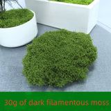30/50/100G Artificial Green Plants Moss Grass Home Living Room Garden Decoration Green Plant