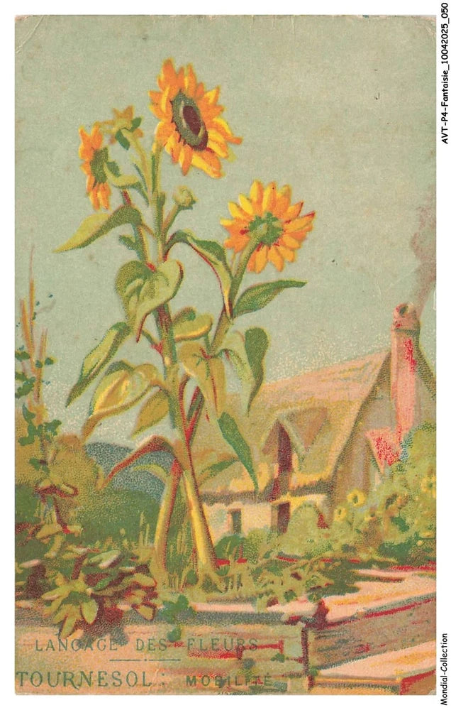 Sunflower floral print with orange blooms, green leaves, and garden path detail