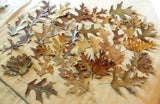 Assorted Size & Color Oak Leaves 70 Brown Green 3