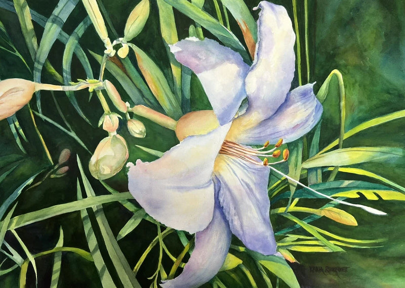 Watercolor Painting of White Lily Flower Contemporary Art Karla Runquist Lily