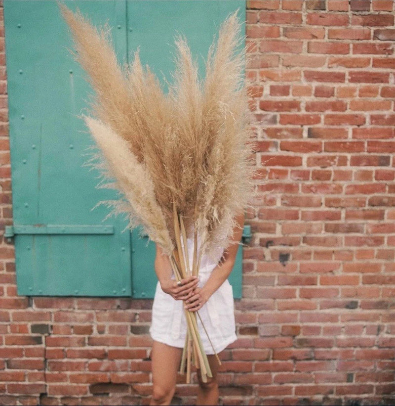 lorfain 46-48 Inch Tall Natural Dried Pampas Grass for Home Decor Pampas Grass