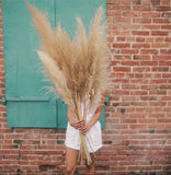 lorfain 46-48 Inch Tall Natural Dried Pampas Grass for Home Decor Pampas Grass