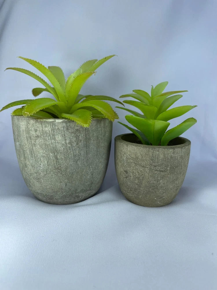 2pcs Artificial Succulent Plants in Pots | Desk Home Office Table Decor Green Plant