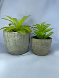 2pcs Artificial Succulent Plants in Pots | Desk Home Office Table Decor Green Plant
