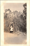 RPPC East Lake Park Los Angeles California Pampas Grass 1912 Real Photo C2 Pampas Grass