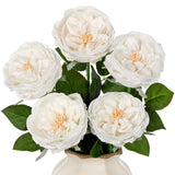 5Pcs Real Touch Peonies Austin Roses Artificial Flowers 23.6 Inch Long Stem F... Peony