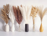 110 PCS Dried Pampas Grass Bouquet Boho Table Decor Bunny Tails Dried Flowers... Pampas Grass