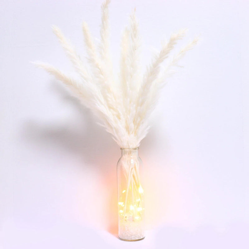 White Pampas Grass in Glass Vase with LED Lights & Faux Crystals, Dried Flowe... Pampas Grass