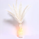 White Pampas Grass in Glass Vase with LED Lights & Faux Crystals, Dried Flowe... Pampas Grass
