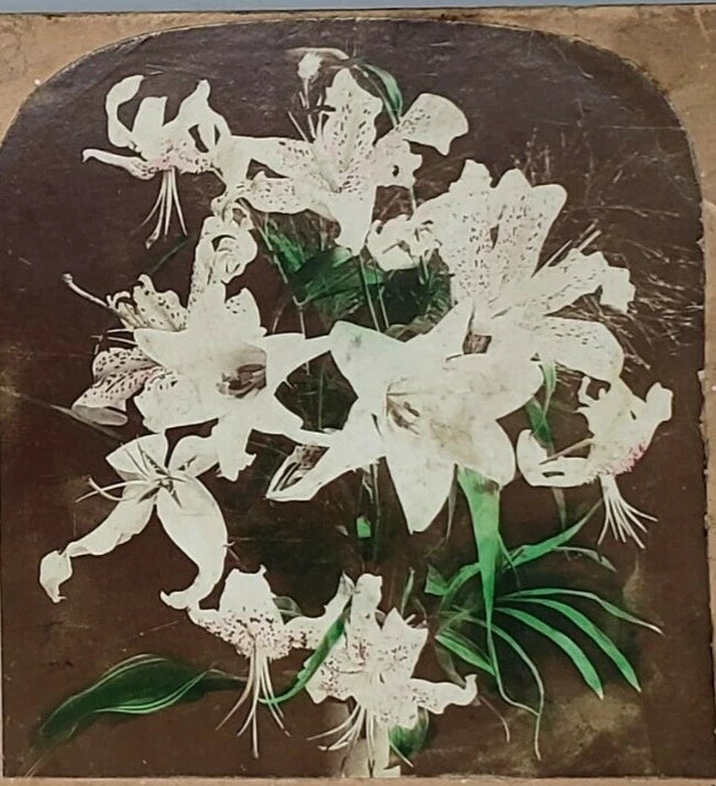 Hand-colored lily bouquet still life on vintage card, white lilies with green leaves