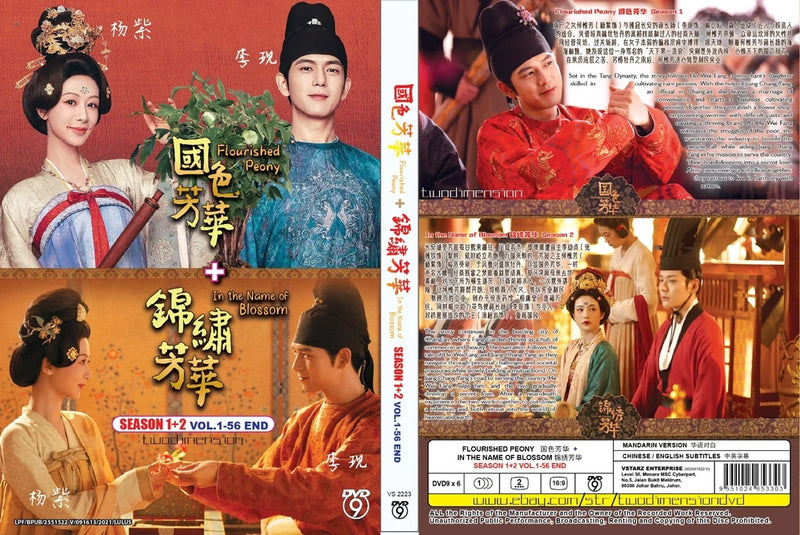 Chinese drama DVD cover featuring characters in traditional clothing and illustrated title art