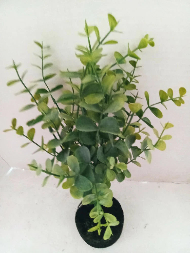 Mini eucalyptus bush, wreath supplies  GREEN Green Plant