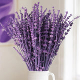 Rylenor Dried Lavender Flower Bundle for Vase Decor purple-2oz, Purple Dried Flower