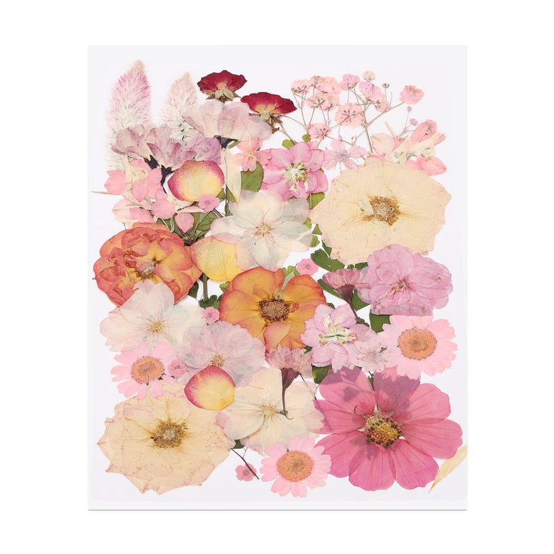 39 Pcs Dried Pressed Flower Leaves Bulk for Resin, Pink Green Dried Flower