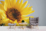 3D Yellow Sunflower Flower Wall Murals Wallpaper Murals Wall Sticker 101 Sunflower