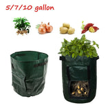 5/7/10 Gallon DIY Potato Grow Planter PE Cloth Planting Container Bag Garden Pot Garden Plants