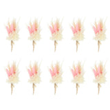 10 Pcs Mini Pampas Grass Dried Flower Bouquet Baby's Breath Boho Gift Light Pink Pampas Grass