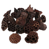 30  Mini  Dried Brwon Lotus  Without  and Stems(1.2-4.7inch), Dried Flower