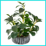 Artificial Plants Decor Greenery Fake Succulents Indoor Potted Fake Plant wit... Green Plant