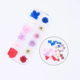 36PCS Real Pressed Dry Mixed flowers collection, 12 colors FCD504 #10 Dried Flower