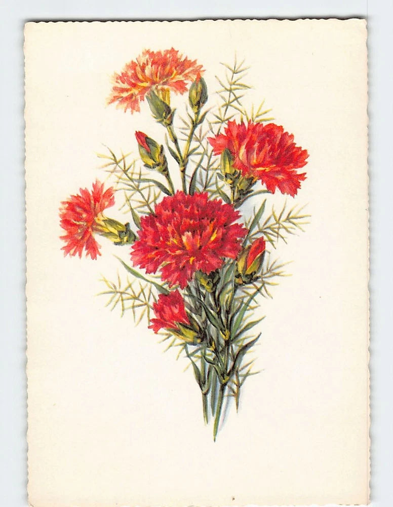 Postcard Red Carnations Flower Art Print Carnation