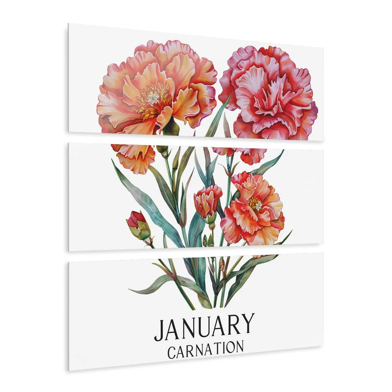 Triptych acrylic print set with pink carnations and text 'JANUARY CARNATION'.