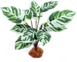 Reptile Terrarium Decor JIHAQUA Artificial Plants New Green Plant