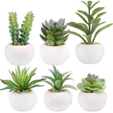 GREENTIME Set of 6 Succulents Plants Artificial in Mini White Ceramic Pots Sm... Green Plant